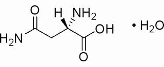 L-天冬酰胺一水